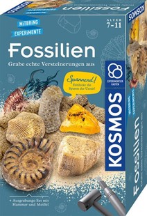 Bild von Fossilien