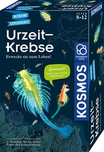 Bild von Urzeit-Krebse