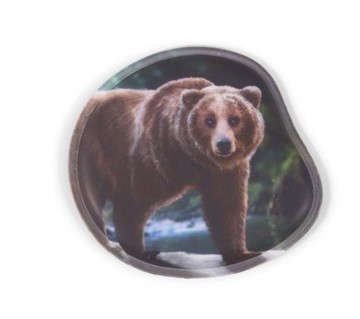 Bild von Kontur-Klettie Grizzly Bär