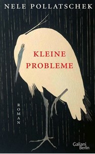 Bild von Pollatschek, Nele: Kleine Probleme