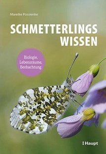 Bild von Possienke, Mareike: Schmetterlingswissen