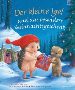 Bild von Butler, M Christina: Der kleine Igel und das besondere Weihnachtsgeschenk